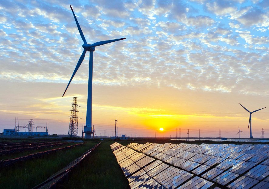 Read more about the article The EU Green Deal for Youth & SMEs